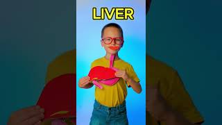 🍎 Learn How Our Body Processes Food 🍽️ #kids #learn
