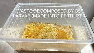 Simulation of compost recycling system