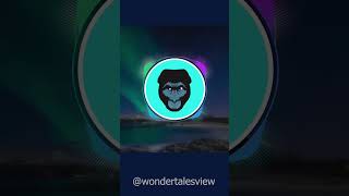 Dynamic Audio Spectrum Visualizer | Visualize Your Vibes #animation