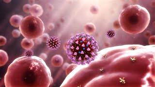 Coronavirus outbreak (covid 19) explained through 3D Medical Animation