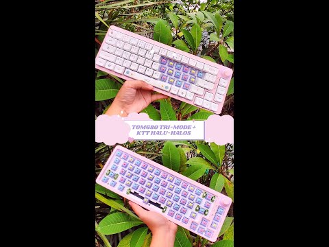 TOM680 TRI-MODE with KTT HALU-HALOS 🌸 #shorts #ASMR