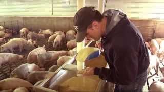 Farmers Adding Value to Soybean Meal