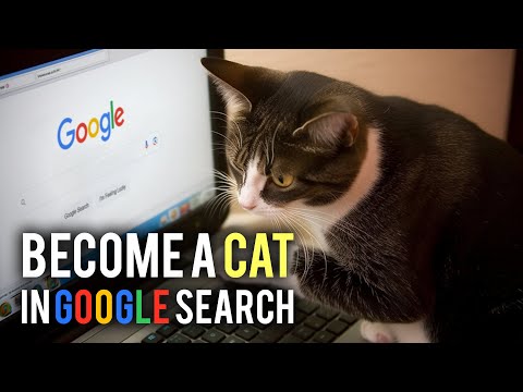 Here is how to become a cat in Google!