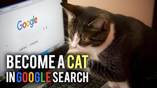 Here is how to become a cat in Google!