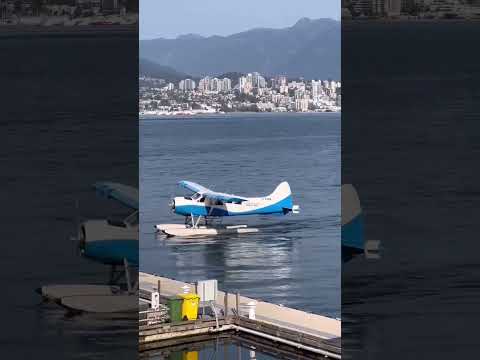 Airplanes are like shooting stars! #vancouver #vanlife #trending #viral #foryou #fyp #reels #shorts