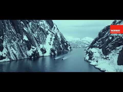 Entdecke das Nordlicht in Norwegen