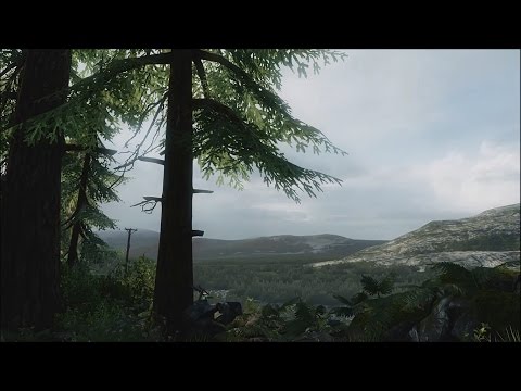 Last Of Us: Ambience – Jackson County Outlook (White Noise, Nature Sounds, Relaxation)