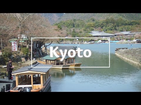 Kyoto | Bamboo, Stairs, and… Who’s This?