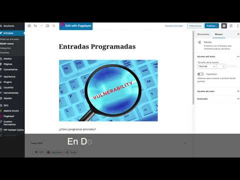 ¿Cómo programar entradas en Wordpress?