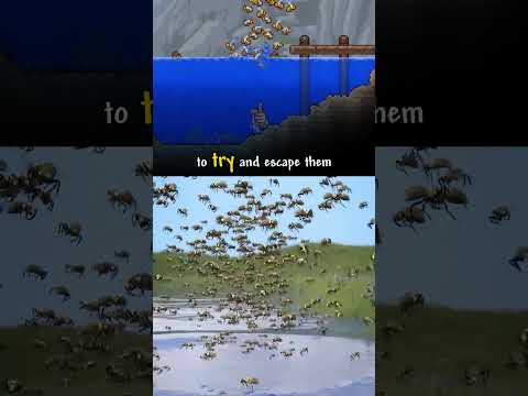 The Guide Tried To Escape The Bees 🐝 w/ @zackdfilms  #terraria