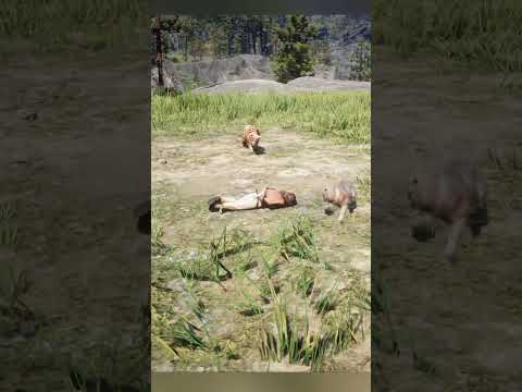 ULTIMATE SURVIVAL SKILLS v42 #shorts