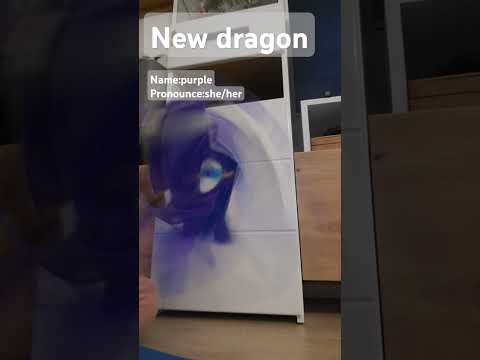 new dragon!