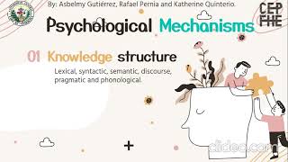 Psychological mechanisms -  Knowledge structure, serial and parallel processing