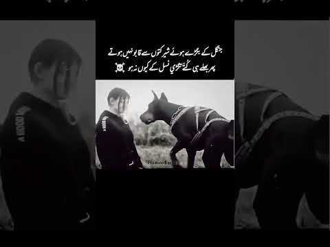 Listen 🤫 #dog #pitbull #doglover #urdupoetry #love #memes #pubgmobilenextstarprogram #shortvideo