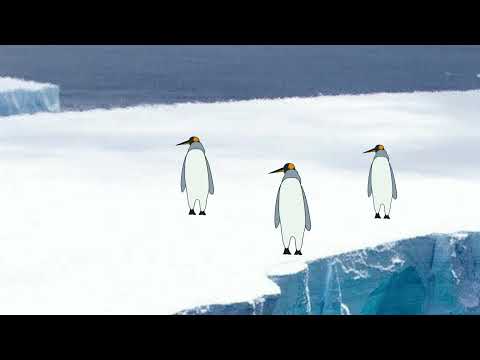 Cha Cha Real Smooth Penguins