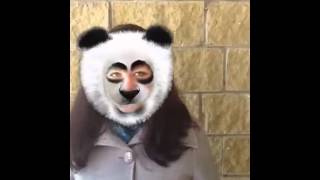 IncredibleCam Video