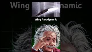 Wing Aerodynamics