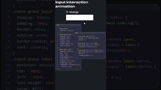 Input Animation In CSS