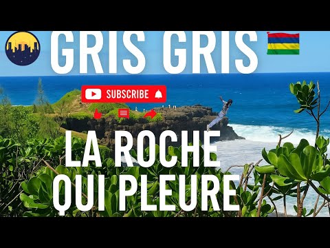 🌊 മൗറീഷ്യസിലെ കരയുന്ന പാറ 😢 | La Roche Qui Pleure 🤯 | വിസ്മയകരമായ കാഴ്ച! 🇲🇺 #vlog #dailylife