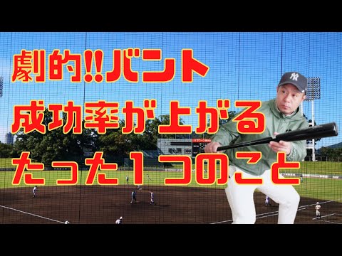 野球バントが決まる構えのコツ!バント成功のカギはグリップの握りとバットの使い方!