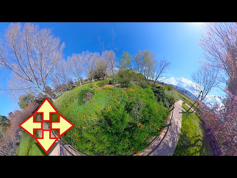 Control This Video  - In The Nature 3