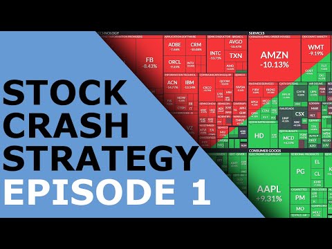 Stock Market Crash Strategy | Michael Jay Ep. 1