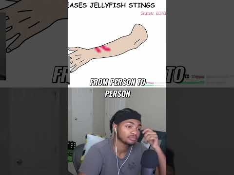 Peeing on Jellyfish Stings ! What You NEED to Know!