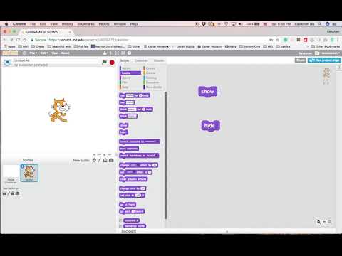 Scratch Programming 2.4 10 blocks 4-5 Show and Hide