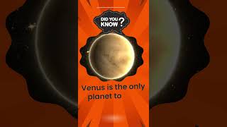 Mind-Blowing Fun Fact!  | Test Your Knowledge#shorts #ytshorts #viralvideo #quiz #shortvideo #facts