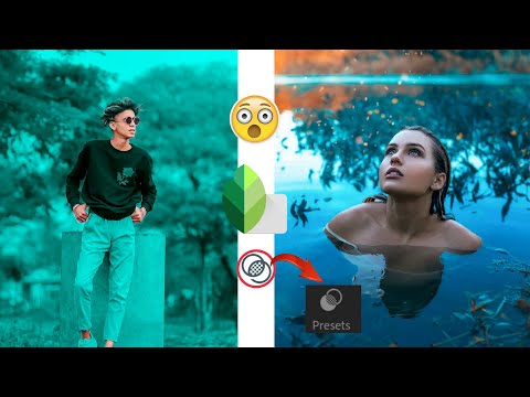 |How To Use Presets In Snapseed🔥Step By Step| How To Colour grade In Snapseed 🔥In Hindi By SL EDITZ|