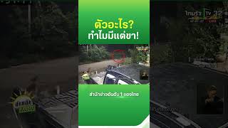 ขนลุก! มีแต่ขา เดินผ่านหน้าบ้านกลางดึก | Thairath News