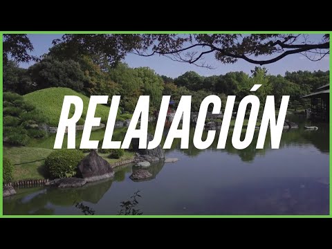 Relajación ~ meditación ~ atención plena - 🧘 Musica para Relajarse