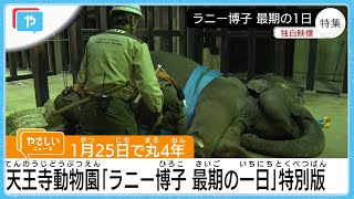 天王寺動物園「ラニー博子最期の一日」特別版