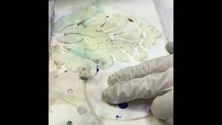 Encaustic Stencils on Paper