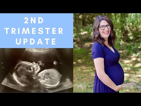 2nd Trimester Pregnancy Update // Glucose Test, Symptoms // First Pregnancy