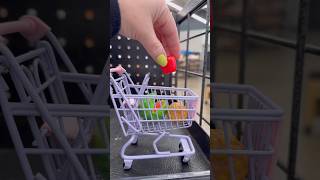 Mini Shopping In The Product Section Again! #miniature #minis #minishopping