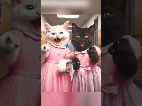 Cat Cute #cat #funny #trending #shorts #fyp