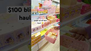 😳 $100 blind box haul #vlog #blindbag