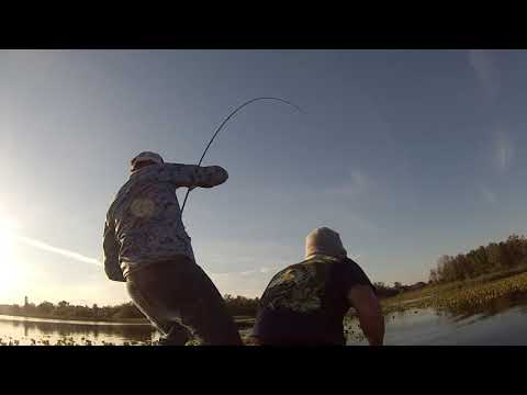 Florida bass fishing
