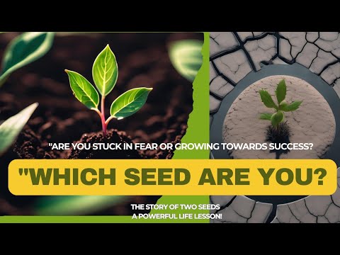 "The Two Seeds: A Powerful Story on Growth and Courage"  🌱✨