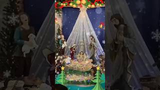 Happy Christmas 🌲☃️ #merrychristmas #happy #happychristmas #love #christmas #loveChristmas 2024 🎄