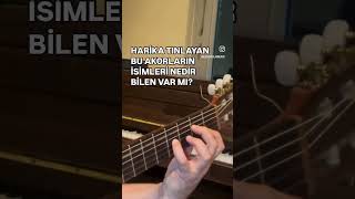BU GİTAR AKORLARINI BİLİYOR MUSUNUZ?