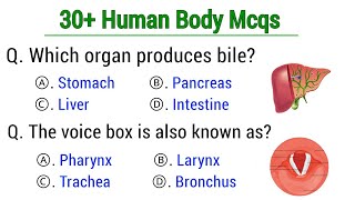 Top 30 Human Body MCQs | human anatomy mcq | biology mcq