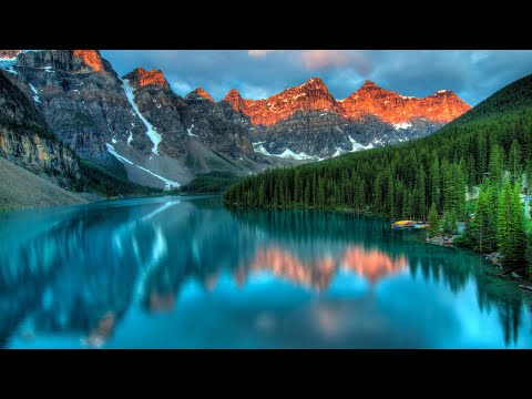 Beauty of The World