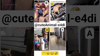 cute animals funny video trending shorts 😍PT-44 #cuteanimalsfunnyvideos​ #funnycomedyshorts #funnl
