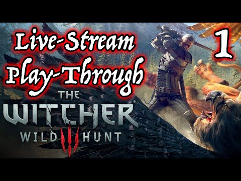 Witcher 3 First Time Play-through! Part: 1