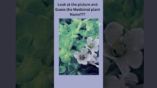 Guess the picture -17|| picture question || guess the plants || #guessthepicture #guess #plants