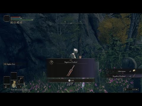 EARLY OP REGALIA OF EOCHAID!