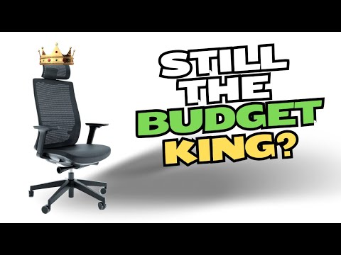 Ergo 312 After 365 Days - Is It Worth It?