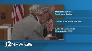 Day 6 Recap: The murder of Allison Feldman trial coverage